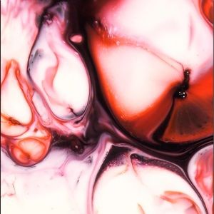 Meet your Posher, Reyna